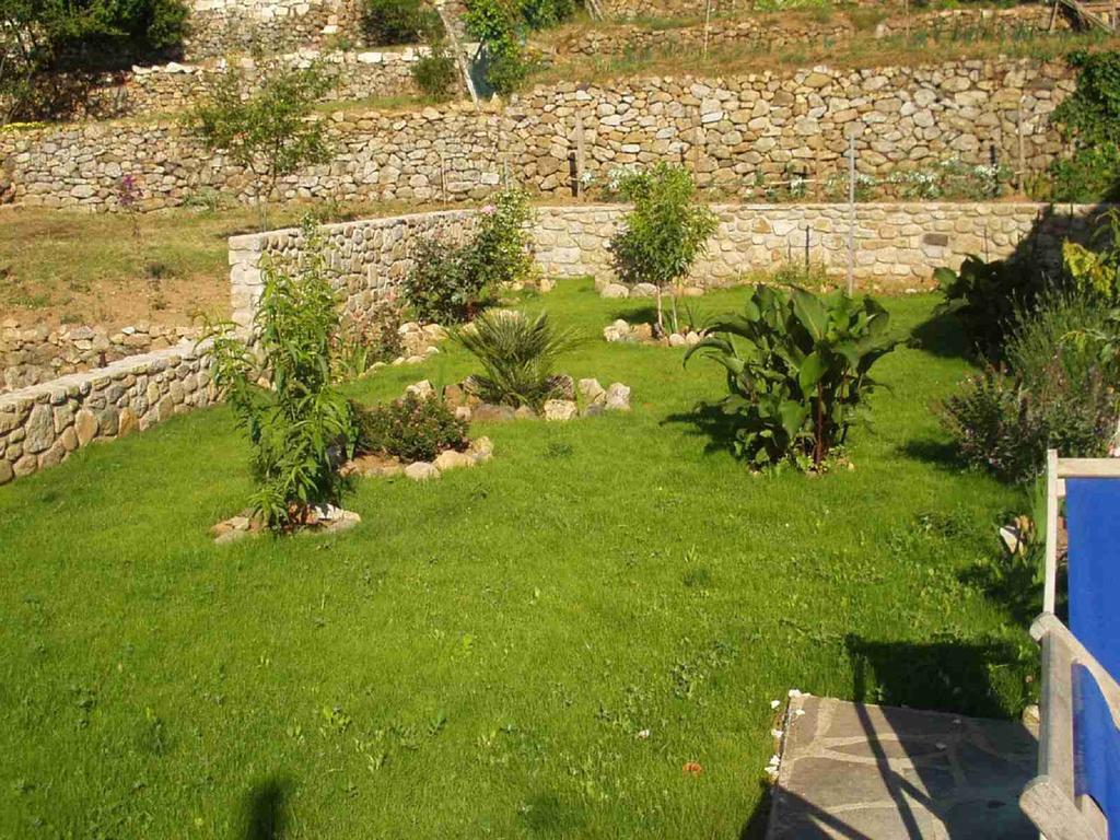 Villetta Il Gelsomino Marciana Marina  Εξωτερικό φωτογραφία
