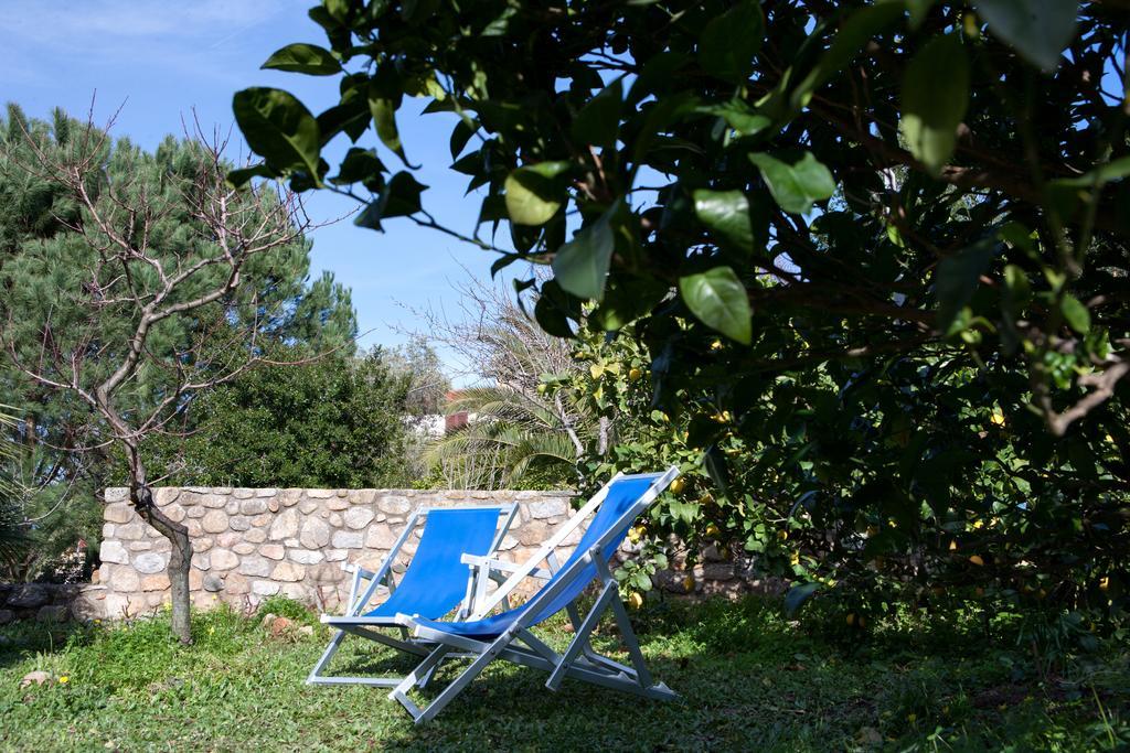 Villetta Il Gelsomino Marciana Marina  Εξωτερικό φωτογραφία